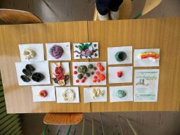 47757382910907159128563564310539371483386529n